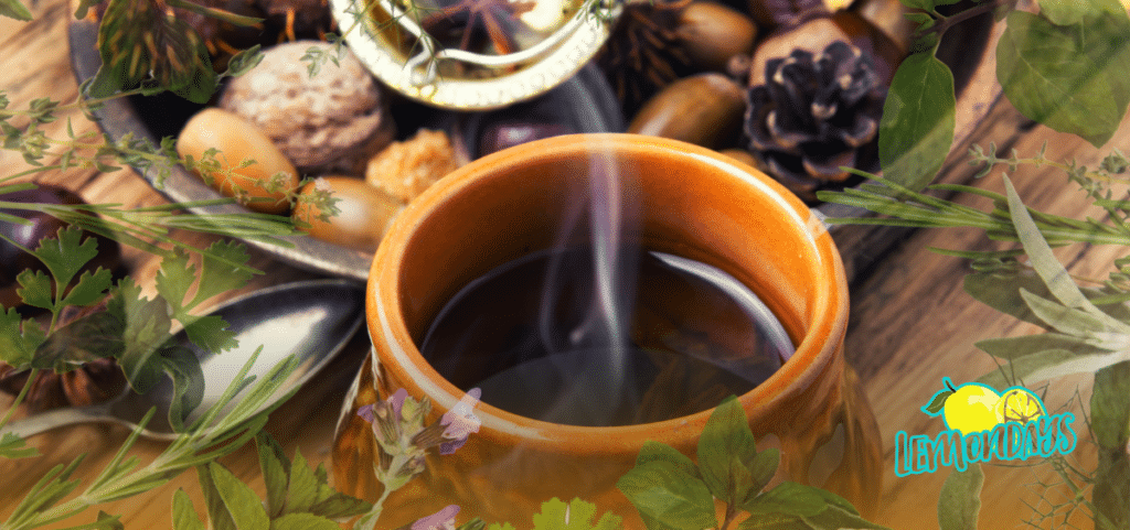 Heilpflanzen im Herbst