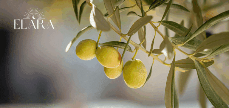 Bachblüte Olive